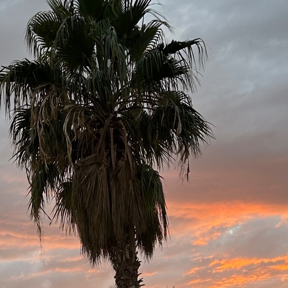 Meet your Posher, Kris - Picture 1 of 1